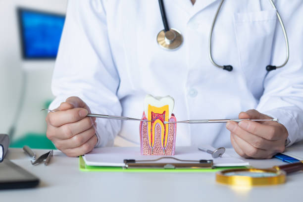 Best Emergency Tooth Extraction in New Carlisle, IN